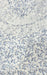 White/Blue Floral Chiffon Extra Large Nighty. Delicate Chiffon | Laces and Frills - Laces and Frills